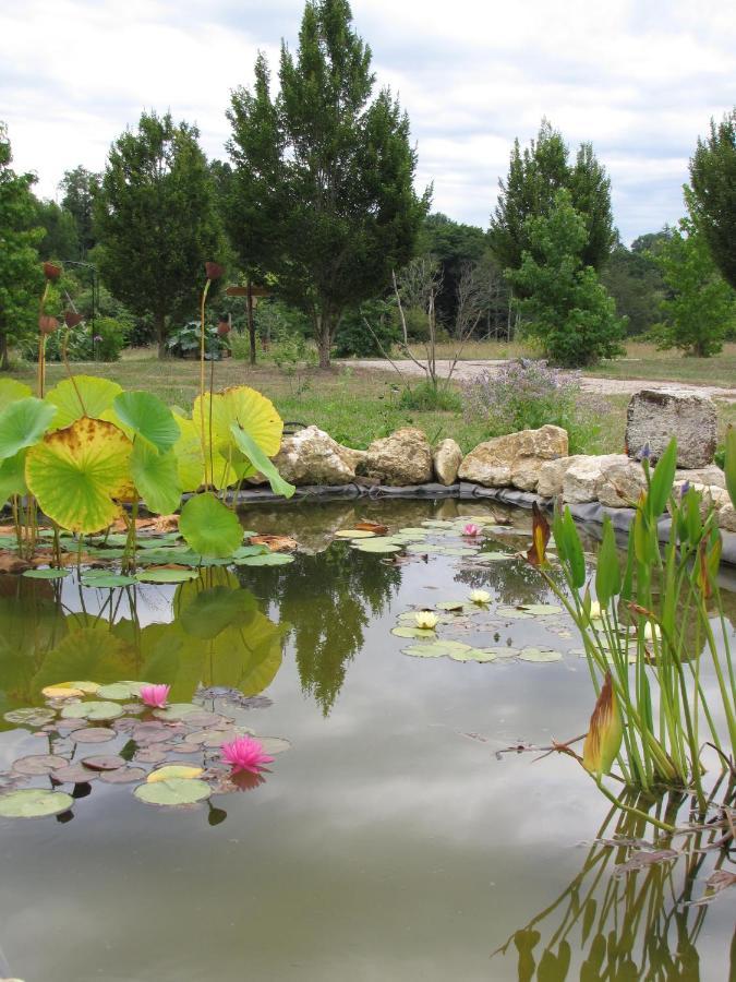 Chateau Ysard Camblanes-et-Meynac Buitenkant foto